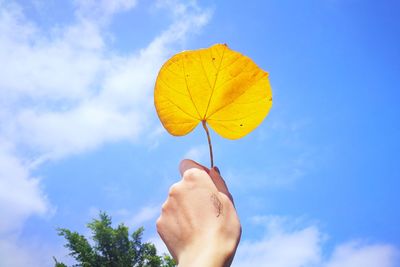 Low angle view of hand holding leaf against blue sky