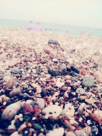 View of pebbles on beach