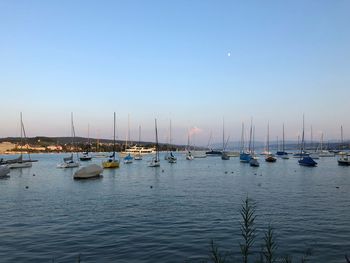 Sailboats moored in harbor against clear sky