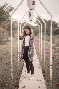 spring