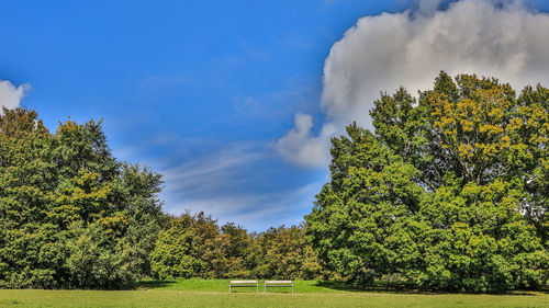 Trees on field against sky