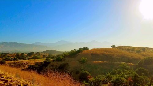 Scenic view of field against clear sky