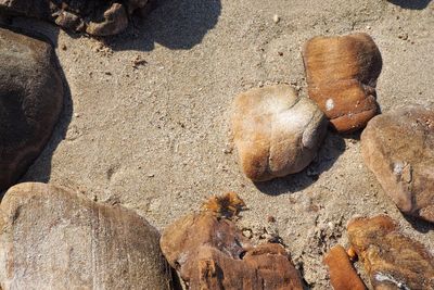 High angle view of stones on beach