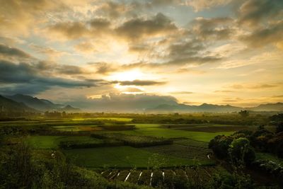 Scenic view of field against cloudy sky