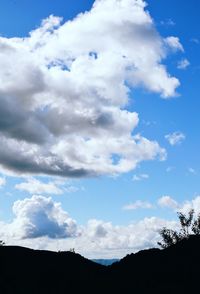 Low angle view of silhouette trees against sky