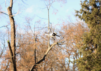 Low angle view of bird on branch against sky