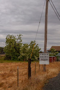 Trees growing on field against sky