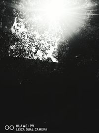 Low angle view of trees against sky