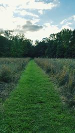 View of fields against trees