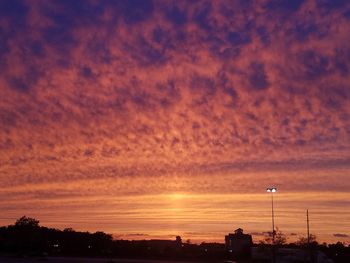Silhouette of trees at sunset