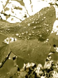 Close up of water