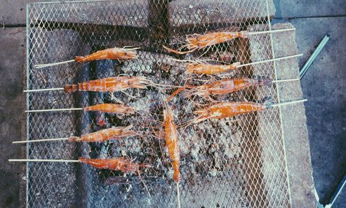 Close-up of fish on barbecue grill