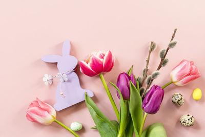 Close-up of flowers on pink background