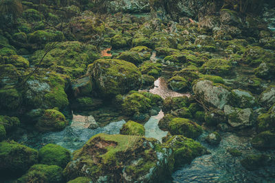 High angle view of stream amidst rocks