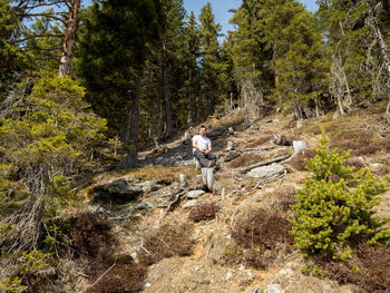 Young man climbing amidst trees in forest