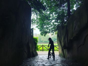 Rear view of silhouette man riding bicycle