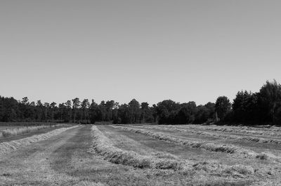 Dirt road amidst field against clear sky