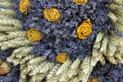 High angle view of yellow flowers on floor