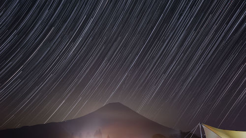 View of trees at night