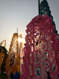 Low angle view of flowering plants against sky during sunset