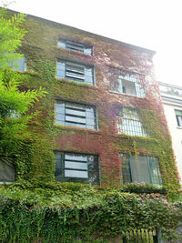 Low angle view of building against clear sky