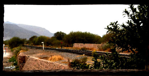 Scenic view of agricultural field against mountains