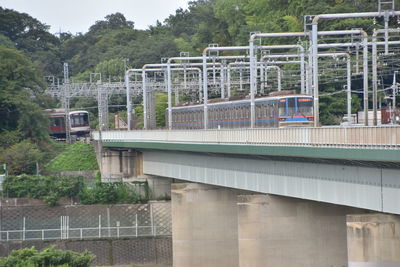 Train on bridge in city