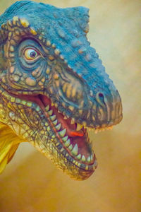 Close-up of animal representation
