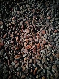 Full frame shot of logs