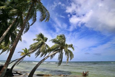 Caribbean beach scenery