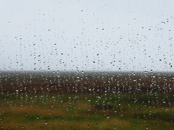 Close-up of water drops on the background