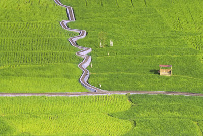 High angle view of agricultural field