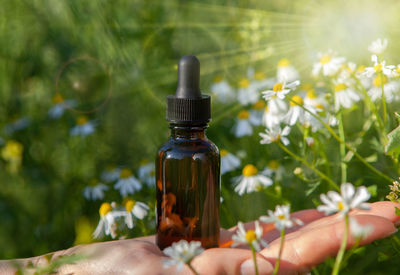 Person holding bottle by red flowering plant