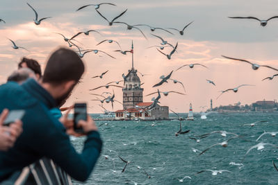 View of birds flying over water