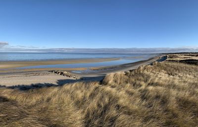 Scenic view of beach against clear blue sky