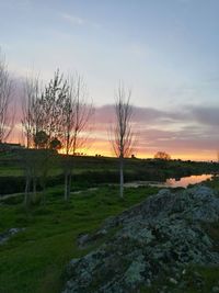 Scenic view of field against sky during sunset