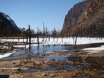 Scenic view of lake against clear sky during winter