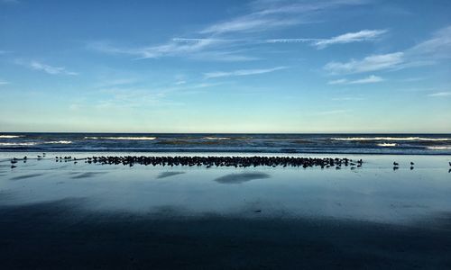 Scenic view of beach against blue sky