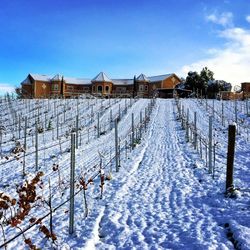 Snow covered field