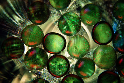 Full frame shot of multi colored glass