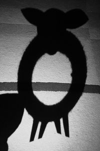 Close-up of shadow on wall