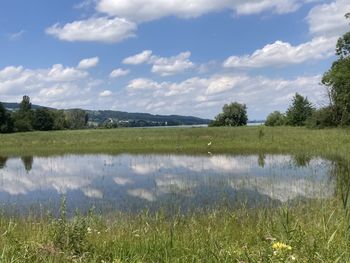 Scenic view of field against sky