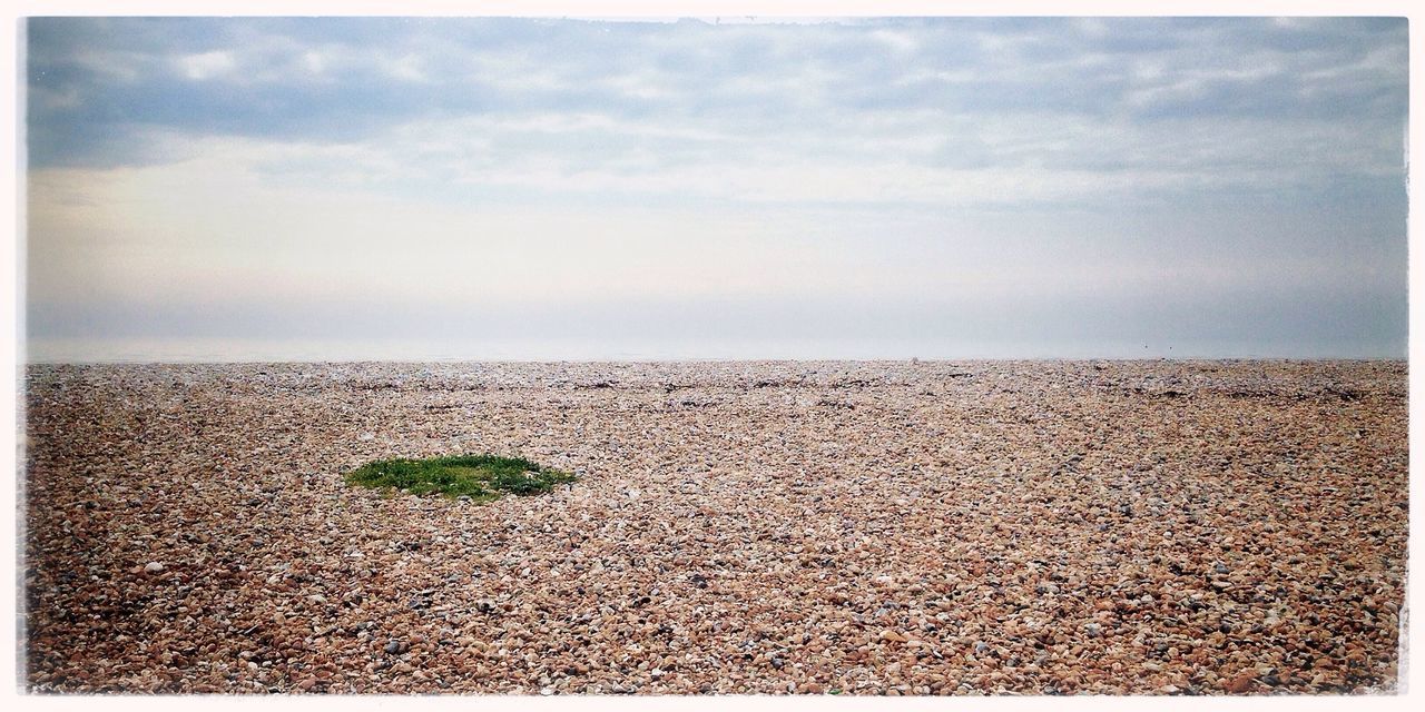 beach, sea, horizon over water, sky, transfer print, tranquil scene, tranquility, scenics, sand, auto post production filter, shore, beauty in nature, nature, cloud - sky, water, cloudy, cloud, idyllic, outdoors, remote