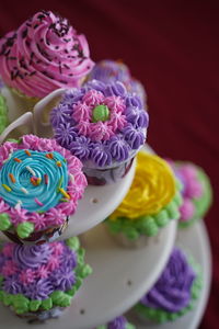 Close-up of multi colored flowers on table