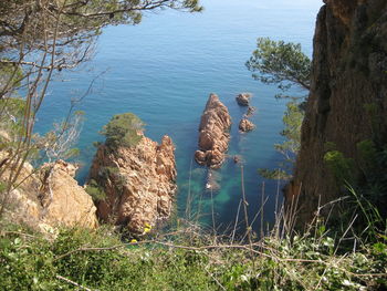 High angle view of sheep on rock by lake