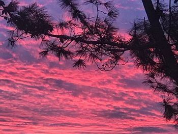 Low angle view of silhouette trees against romantic sky