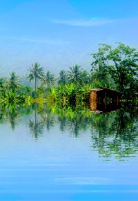 Reflection of palm trees in lake against blue sky