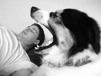 Close-up of dog yawning while mature man sleeping in background on bed