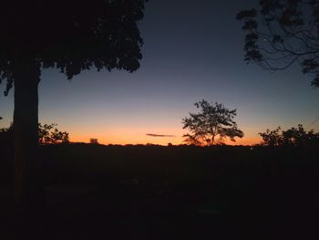 Silhouette trees on landscape against sky during sunset