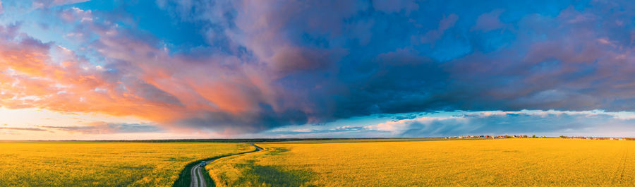 Scenic view of field against sky during sunset